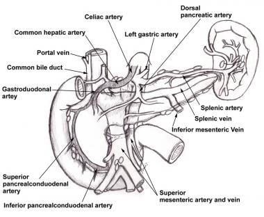 Abdominal Angina